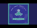 A Brass Band In African Chimes (Extended Version)