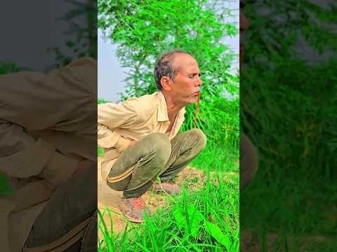 O mitra o yaara yaari | #shortvideo #viralvideo #trendingshorts #youtubeshorts