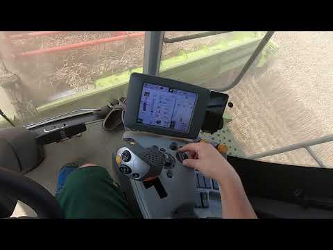[GoPro] Cab view: Lagergetreide ernten mit Claas Lexion 770