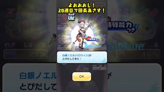 白銀ノエル(ハロウィン)確率超アップ来たからガシャ引いてみた！#ぷにぷに #ホロライブ #妖怪ウォッチ #白銀ノエル