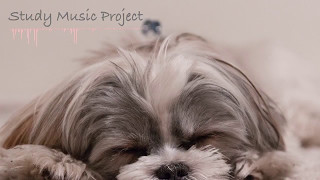 Study Music Project - Daydream Away (Piano Music)