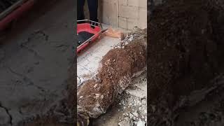 Encuentran el cuerpo sin vida del cantante y creador de contenido digital Farruko Pop. #farrukopop