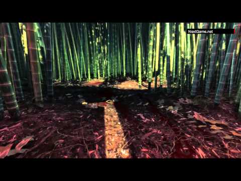 Видео № 0 из игры Shadow Warrior [PC] (только ключ)