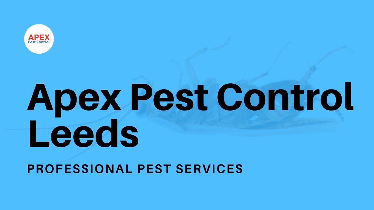 Pest Control Leeds | Apex Pest Control Leeds West Yorkshire UK