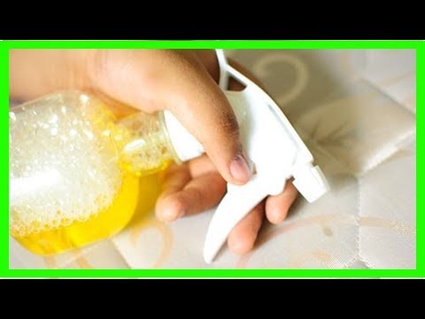 Wie kann man eine Matratze reinigen und desinfizieren?