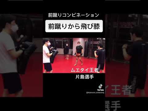 前蹴りから飛び膝に繋げるコンビネーション