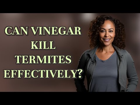 Does Vinegar Kill Termites