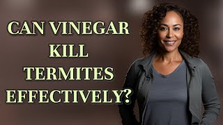 Can vinegar kill termites effectively
