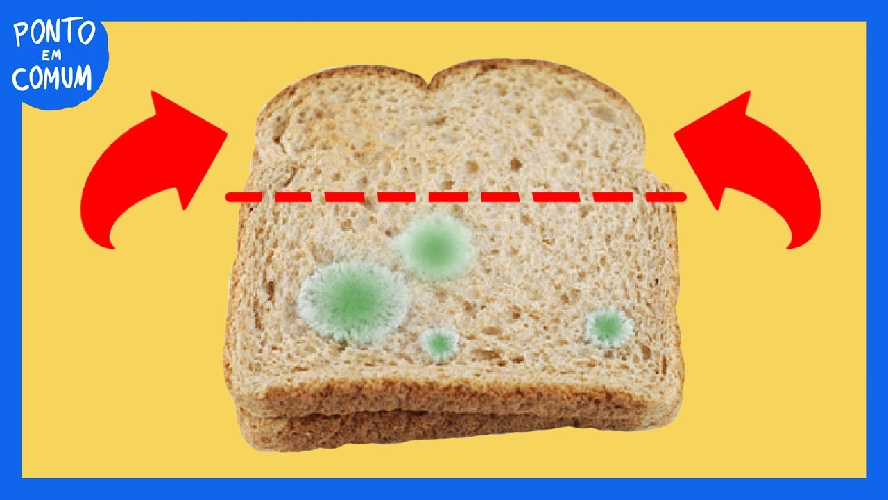 Podemos comer a parte "limpa" do pão mofado?