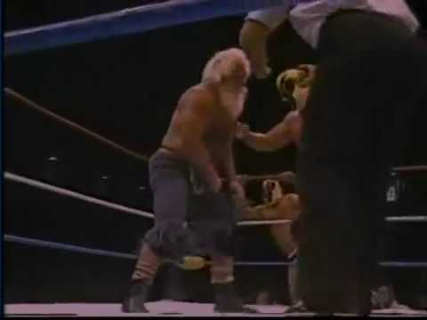 Moondogs vs. Killer Bees [1986-07-26]