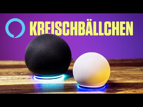 Echo & Echo Dot (4. Generation) ausprobiert