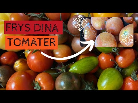 , title : 'Överväldigad av tomatskörden? Rädda skörden genom att FRYSA dina tomater direkt efter skörd'
