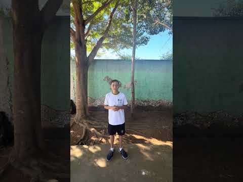 Missão do Estudante Orientador - Grito de Garra CEPI Brasil Ramos Caiado - Araguapaz, Goiás