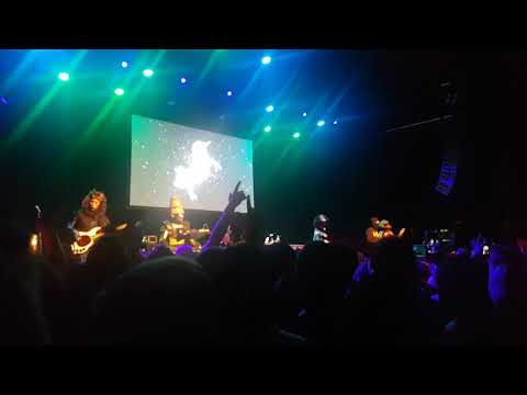 Unicorn Wizard - NSP Dublin Live