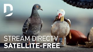 DirectTV For The Birds | Girlfriend