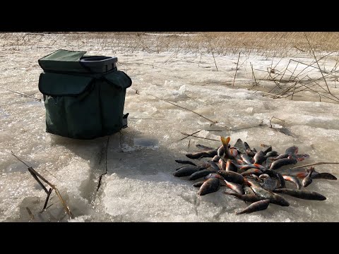 Kalastus - morrilla ahvenia matalasta mereltä 14.4.2023