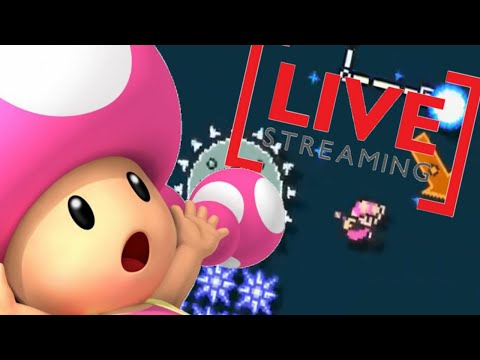 EXPERT LEVELS ONLY-Super Mario Maker 2 LIVE
