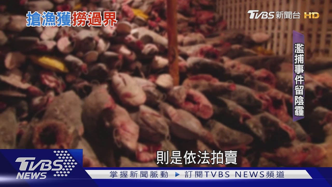 大陸300艘漁船壓境 厄瓜多憂非法捕撈