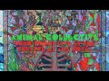 Animal Collective - Kids On Holiday - Live (Official Audio)