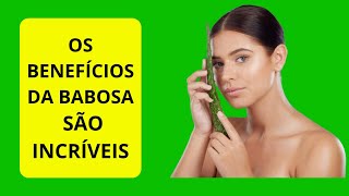 Babosa e Seus Benefícios⚠️VEJA URGENTE⚠️ Babosa na Pele