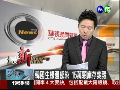 韓國生蠔遭感染 15萬顆庫存銷毀