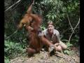 Steve Irwin S Wildest Animal Encounters Part 9