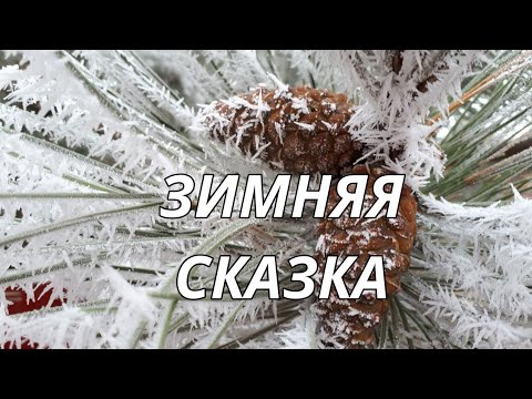 Снежный пейзаж. Зимняя сказка. Красивая музыка Сергея Чекалина.