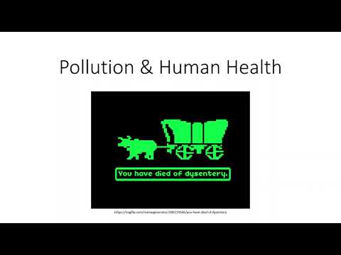 8.14 Pollution and Human Health