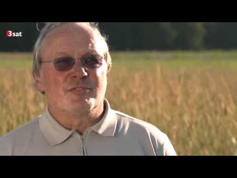 Wie die Europäische Entwicklungshilfe wirklich wirkt!