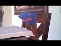 Hot Kool Aid Shark Puppet Edition