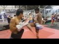 Buakaw Por. Pramuk's Insane Training Kicks