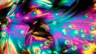 Tapes &#39;n Tapes   Freakout