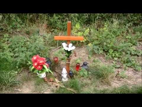 Iveta Bartošová - křížek