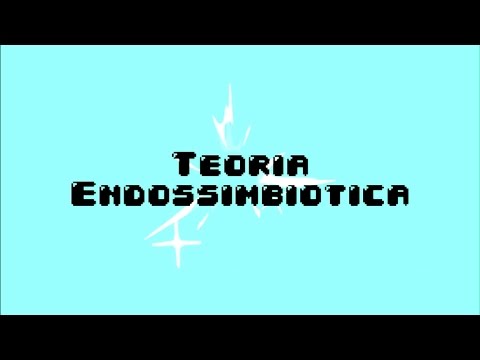 Video Aula   Teoria Endossimbiotica