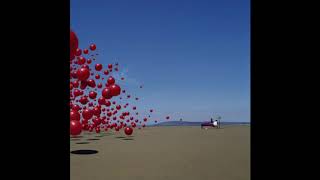 The Cranberries - Never Grow Old