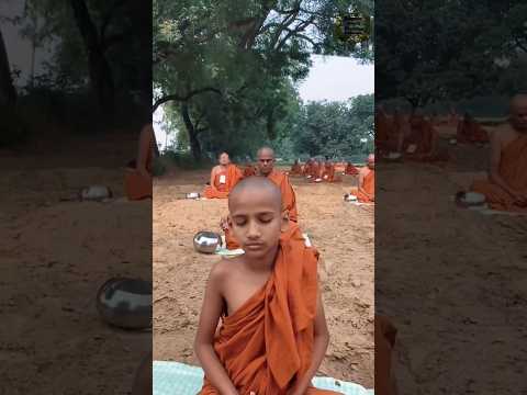 With Bhante doing Vipassana meditation #shakyamuni_buddha @shakyamunibiographyofbuddh563