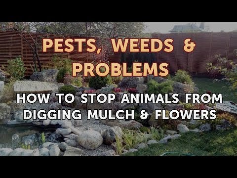 How to Stop Animals From Digging Mulch & Flowers