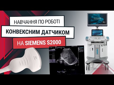 Конвексний датчик до Siemens S2000 – навчання та функції - Статті RH