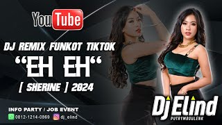 Download lagu DJ EH EH FUNKOT | VIRAL REMIX TIKTOK 2024 | DJ ELIND ON THE MIX LIVE AT MYSTIC SURABAYA mp3