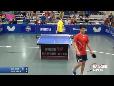 2016 Butterfly Badger Open - Open Singles Semi-Finals #2