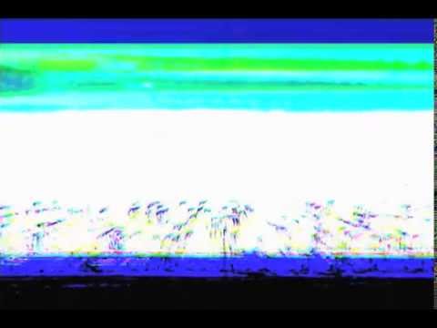 Vigliensoni - Le Règne Animal EP - Tango