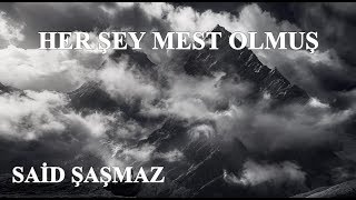 Said Şaşmaz - Her Şey Mest Olmuş