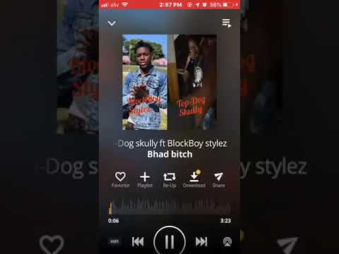 Top-Dog skully ft Blockboy Stylez Bhad bitch