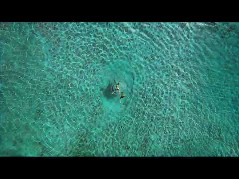 Ross Quinn & Rules - Holding On To You (Visualizer) [Helix Records]