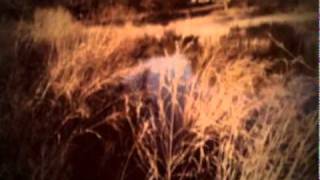 ALAS WE ASPIRE by AMY STROUP { heard Royal Pains, Pretty Little Liars & SMALLVILLE}