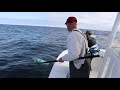 2020 Cape Cod Bluefin clips