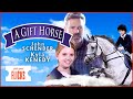 Touching Family Movie | A Gift Horse (2015)