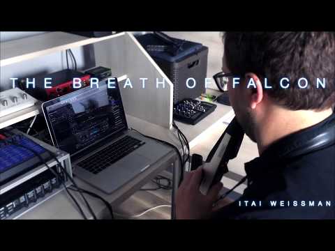 THE BREATH OF FALCON - Itai Weissman