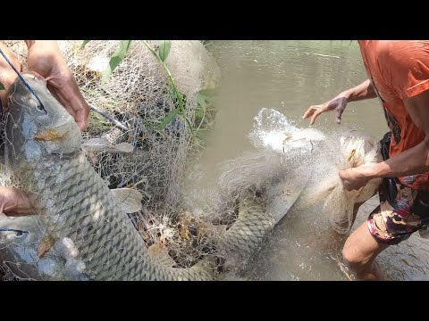 SE03EP168 - AKALA ay PURO SABAW,  HINDI INAASAHAN na PURO MAMAW PALA ang LAMAN -KALABSAWAN sa TABI