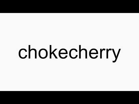 How to pronounce chokecherry